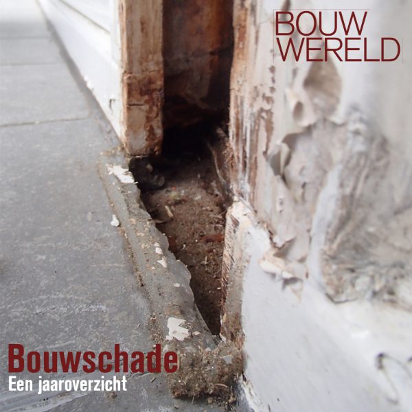 E-Book: Bouwschade 2019